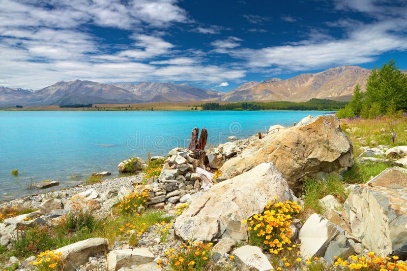 Lake Tekapo, New Zealand royalty free stock image Lake Tekapo, New Zealand royalty free stock image