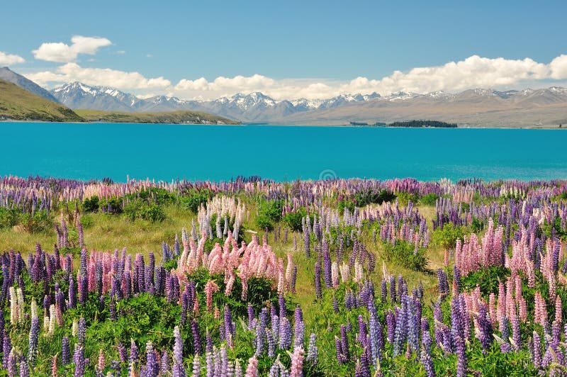 Lake Tekapo, New Zealand