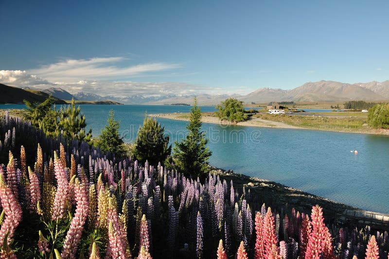 Lake Tekapo, New Zealand