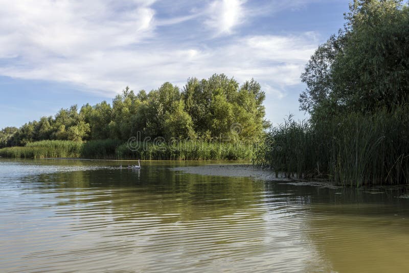 Lake Tisza at Poroszlo stock image. Image of peace, nature - 192611641