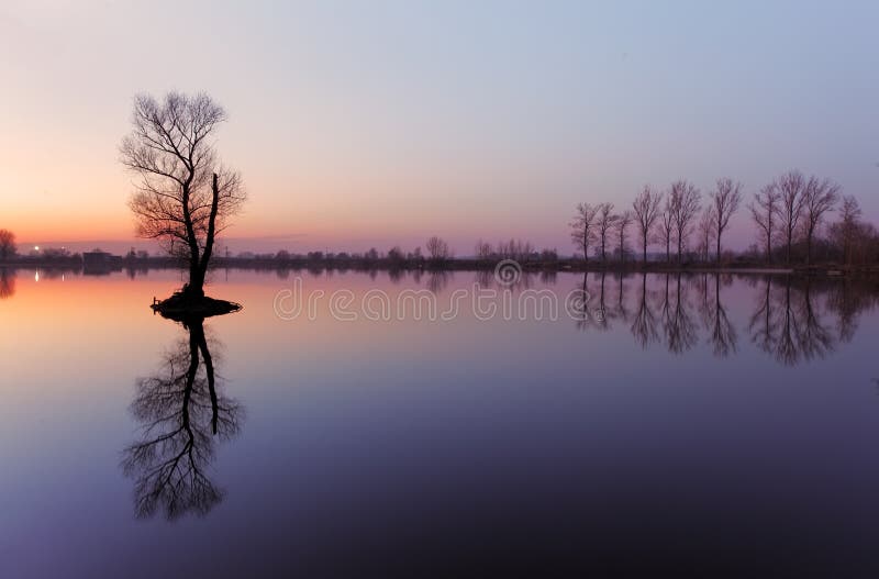 Jazero so stromom pri východe slnka, Slovensko