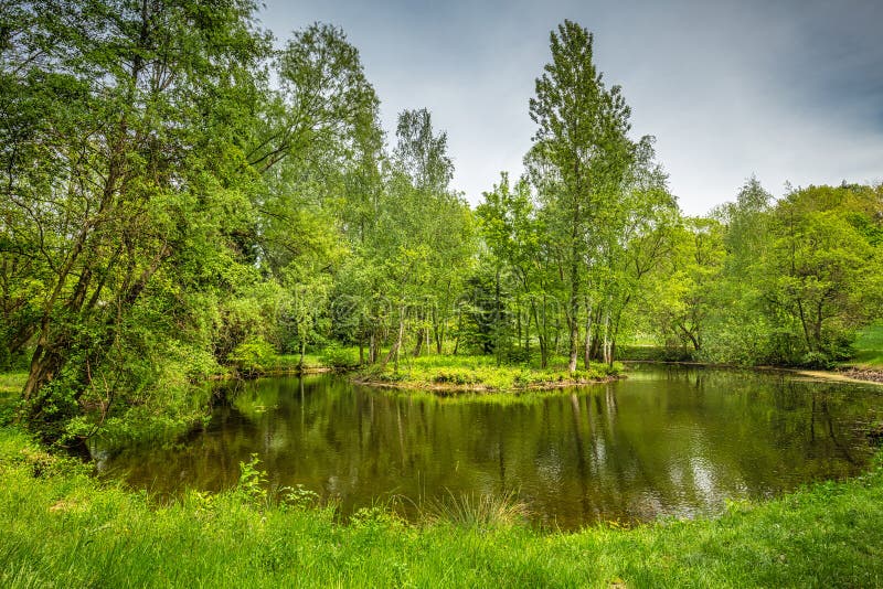 Jezero u stromů v arboretu