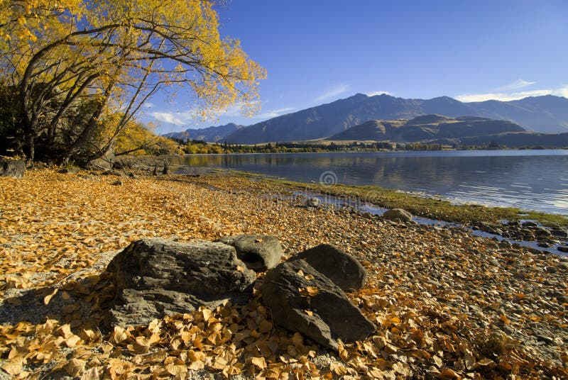 Lake Wanaka, Glendhu Bay, New Zealand