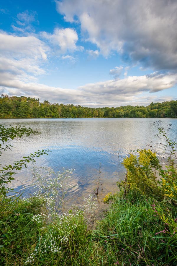 Lake Williams, in York, Pennsylvania Stock Photo Image of williams