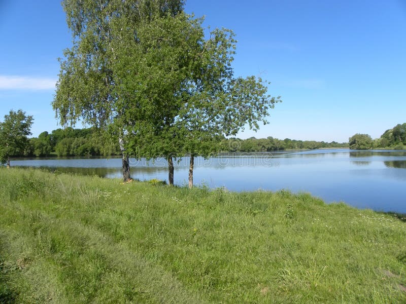 Lakeside stock photo. Image of pond, edge, lakeside, morning 41155162