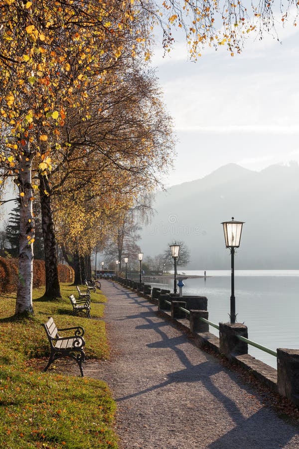 Lakeside promenade schliersee, with benches and golden birch lea. Lakeside promenade health resort schliersee, with benches and golden birch leaves, upper stock image Lakeside promenade schliersee, with benches and golden birch lea. Lakeside promenade health resort schliersee, with benches and golden birch leaves, upper stock image