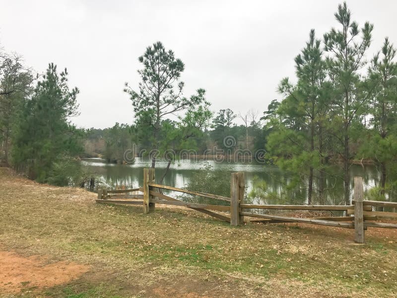 Lakeside trail with rustic fence logs and tall pine trees from rest area in Texas, USA