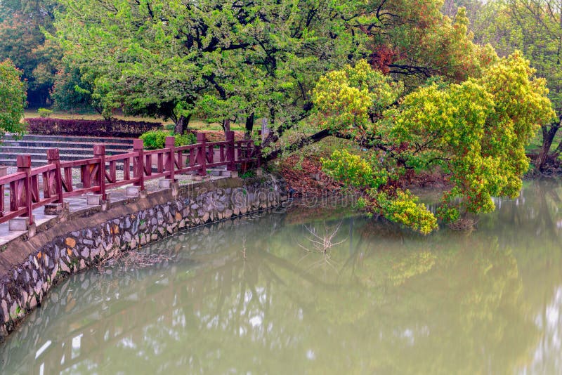 Lakeside tree-Nanchang Mei Lake Scenic Area