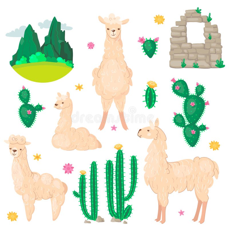 Lama and cactus set. Alpaca wool and llamas, succulents and Peru american valley with mountins vector illustration. vector illustration Lama and cactus set. Alpaca wool and llamas, succulents and Peru american valley with mountins vector illustration. vector illustration