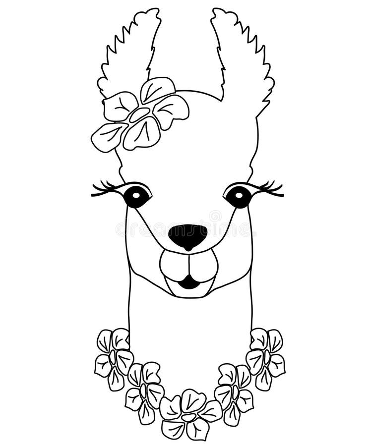 Lama preto-branca bonito com flores Animal peruano, lama para colorir, cópia criançola para a tela, t-shirt, cartaz ilustração do vetor Lama preto-branca bonito com flores Animal peruano, lama para colorir, cópia criançola para a tela, t-shirt, cartaz ilustração do vetor
