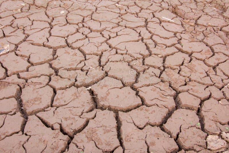 Lama rachada secada, terra da seca, sem água, em Tailândia fotos de stock