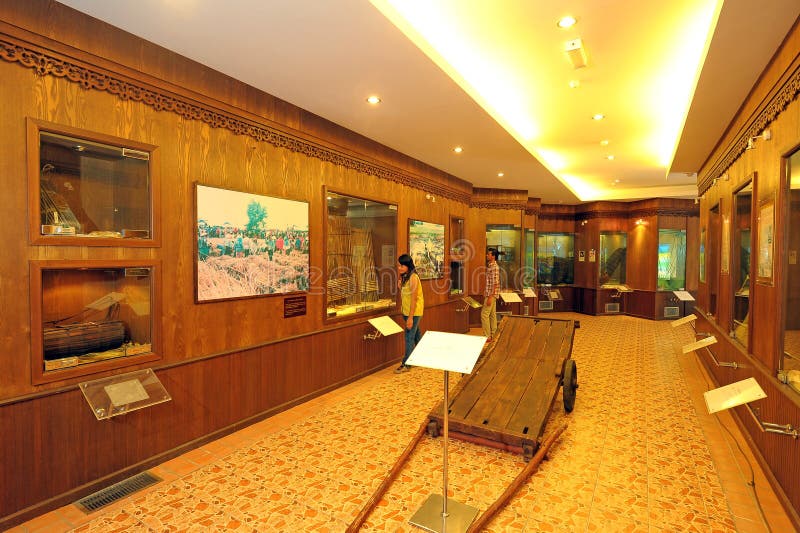 Padi field farmer editorial photography. Image of rice 67509562