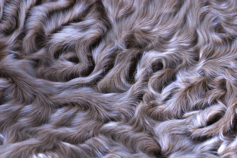 188 Astrakhan Fur Stock Photos - Free & Royalty-Free Stock Photos from Dreamstime 188 Astrakhan Fur Stock Photos - Free & Royalty-Free Stock Photos from Dreamstime