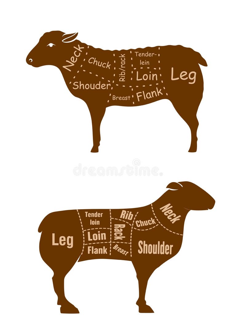 Lamb Cuts Diagram Stock Illustrations – 238 Lamb Cuts Diagram Stock