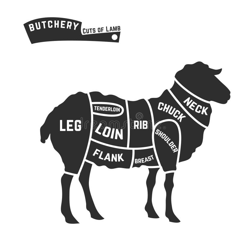 Lamb or mutton cuts diagram. Butcher shop black on