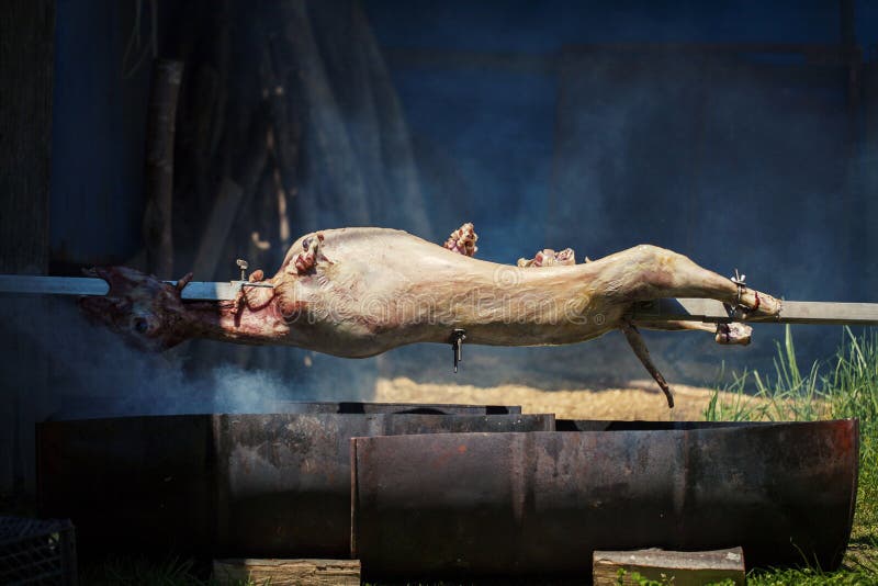 Spit roasting stock image. Image of grill, fancy, medieval 897511