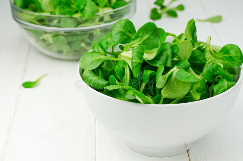 Lamb s lettuce stock photo. Image of vitamin, table, health 40038508