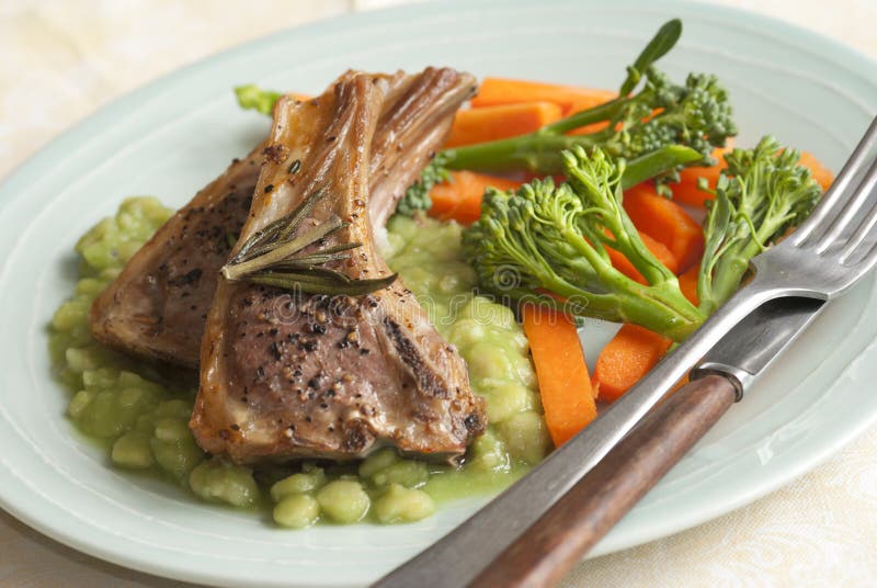 Roast Lamb Sunday Dinner with Mint Sauce Stock Image Image of gravy