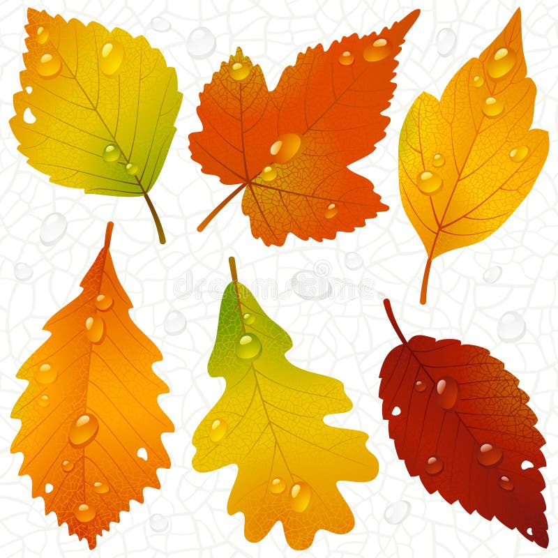 Lames d'automne et fond sans joint de veine illustration de vecteur