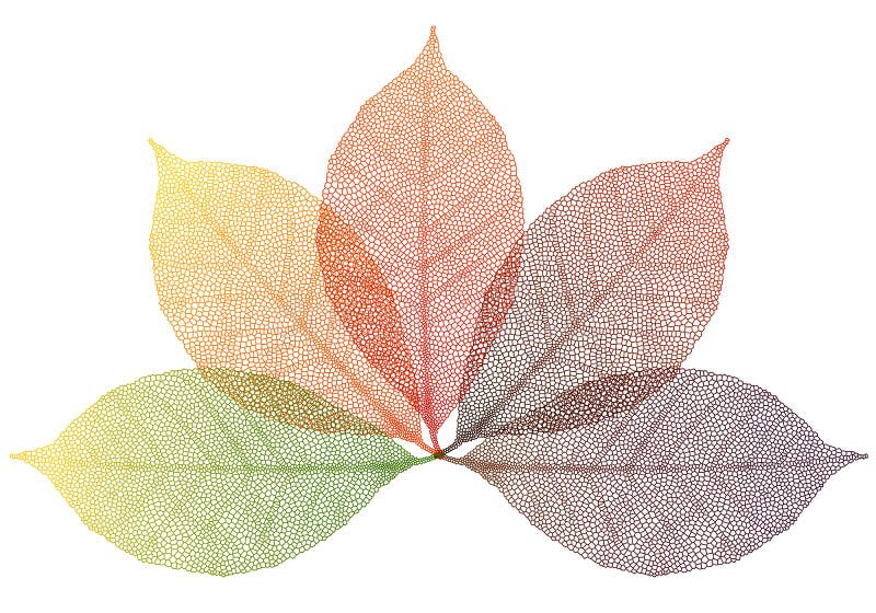 Lames d'automne, vecteur illustration de vecteur