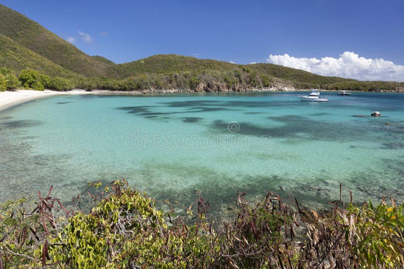 Lameshur Bay and Boats