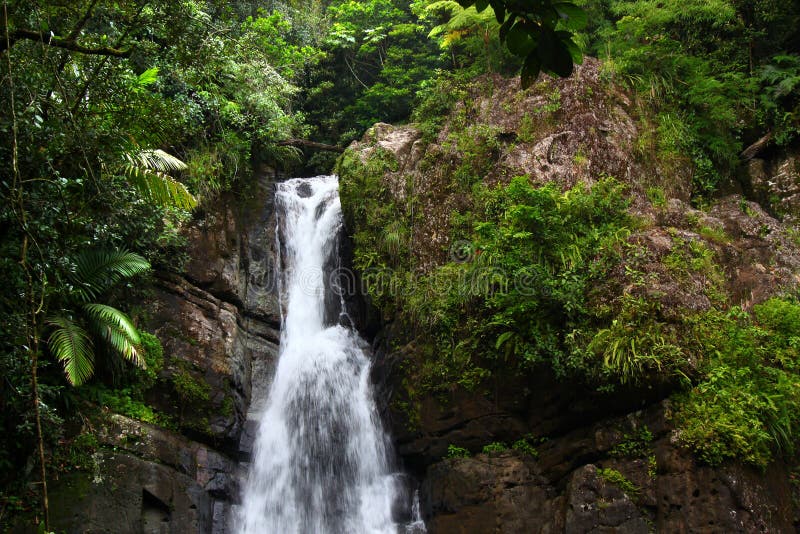 Lamina-Fälle - Puerto Rico lizenzfreies stockfoto Lamina-Fälle - Puerto Rico lizenzfreies stockfoto