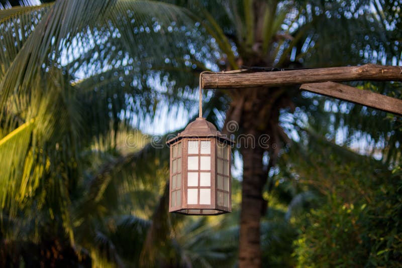 Lamp for outdoor lighting hanging on tree in the garden.
