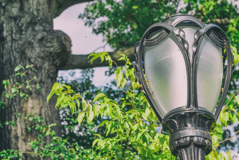 Lamp post in Central Park stock photo. Image of beautiful 226114608