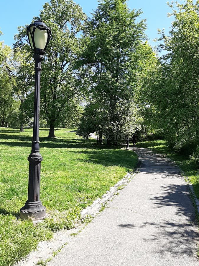 Lamp Post among Trees in Central Park, on a Sunny Spring Day Stock Image Image of manhattan