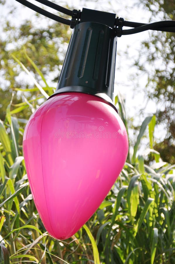 Lamp socket stock images