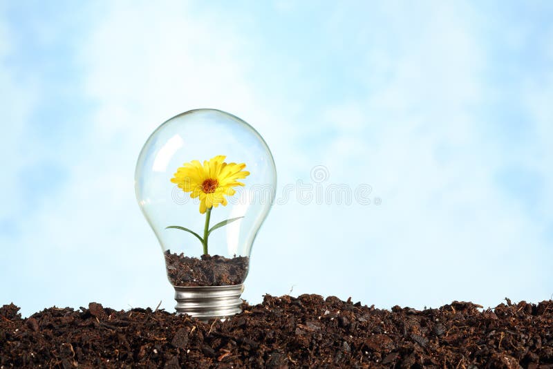 Lampadina elettrica su terra con il fiore fotografia stock libera da diritti Lampadina elettrica su terra con il fiore fotografia stock libera da diritti