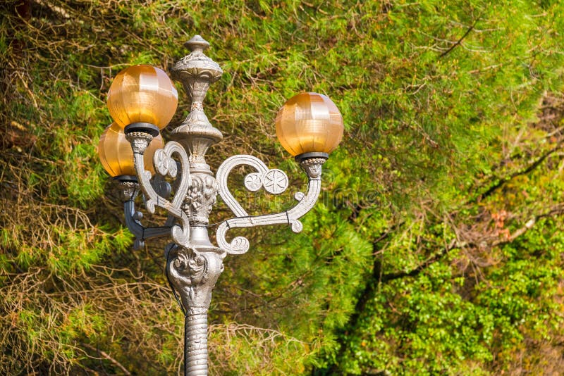 Lampione sui precedenti degli alberi nell'arboreto di Soci, Russi fotografia stock libera da diritti Lampione sui precedenti degli alberi nell'arboreto di Soci, Russi fotografia stock libera da diritti