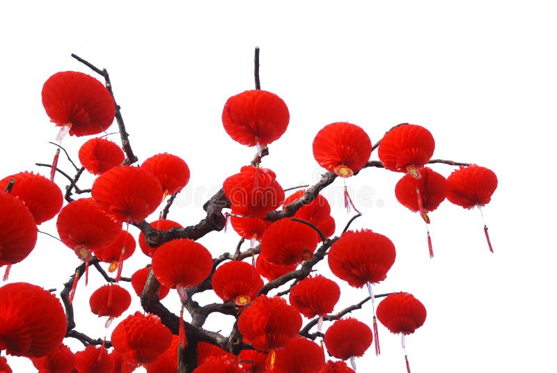  Lampions  Chinois Rouges Sur L arbre  Photo stock Image du 