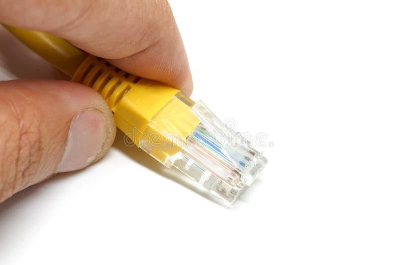 LAN cable closeup detail object isolated royalty free stock photography