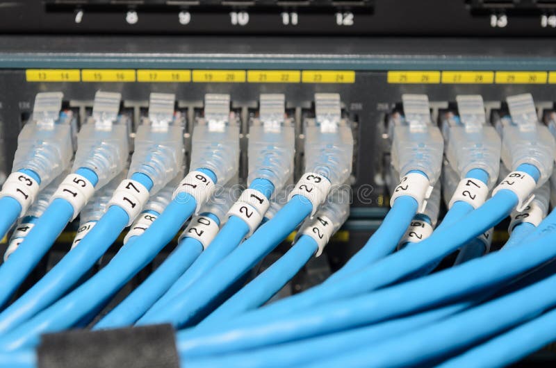 recluta Incompetencia ansiedad LAN Cable Connected To Switch Stock Image - Image of computer, communication: 31710231 recluta Incompetencia ansiedad LAN Cable Connected To Switch Stock Image - Image of computer, communication: 31710231