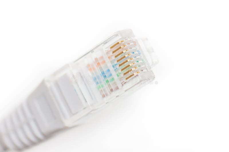 Lan network cable closeup on white royalty free stock image