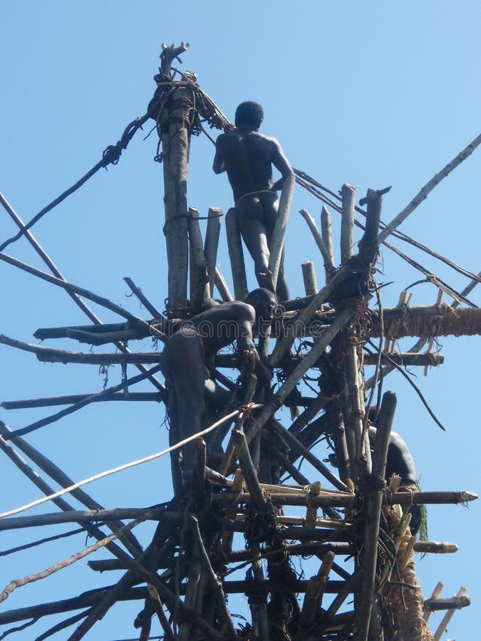 Land Diving Ceremony in Vanuatu Editorial Image Image of islander