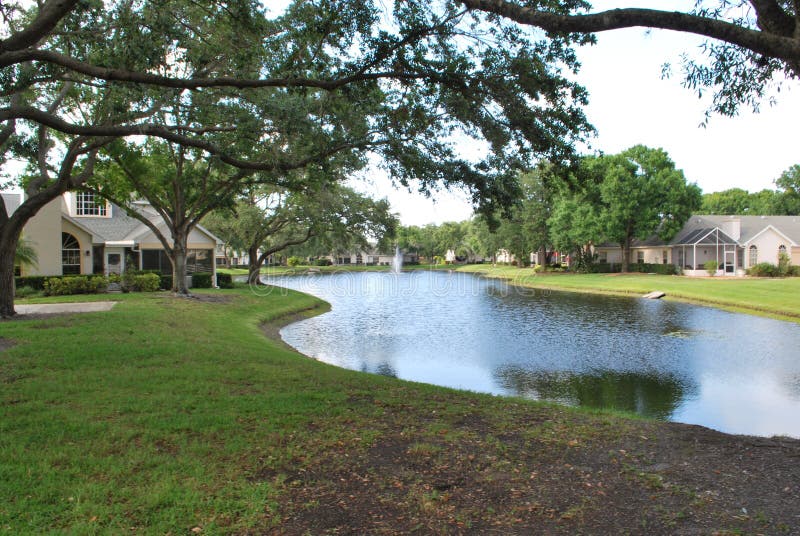  Beautiful Sarasota  Florida stock image Image of trees 