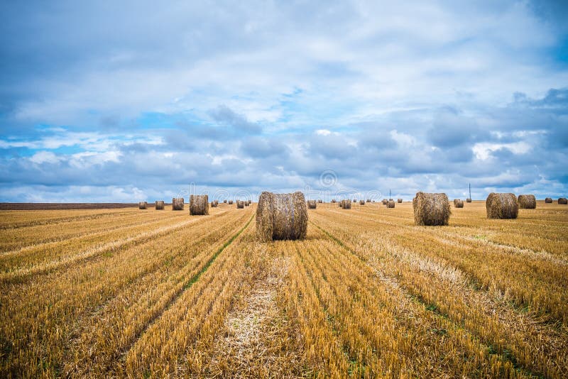 Land of sheaves stock image. Image of france, nature 34475053