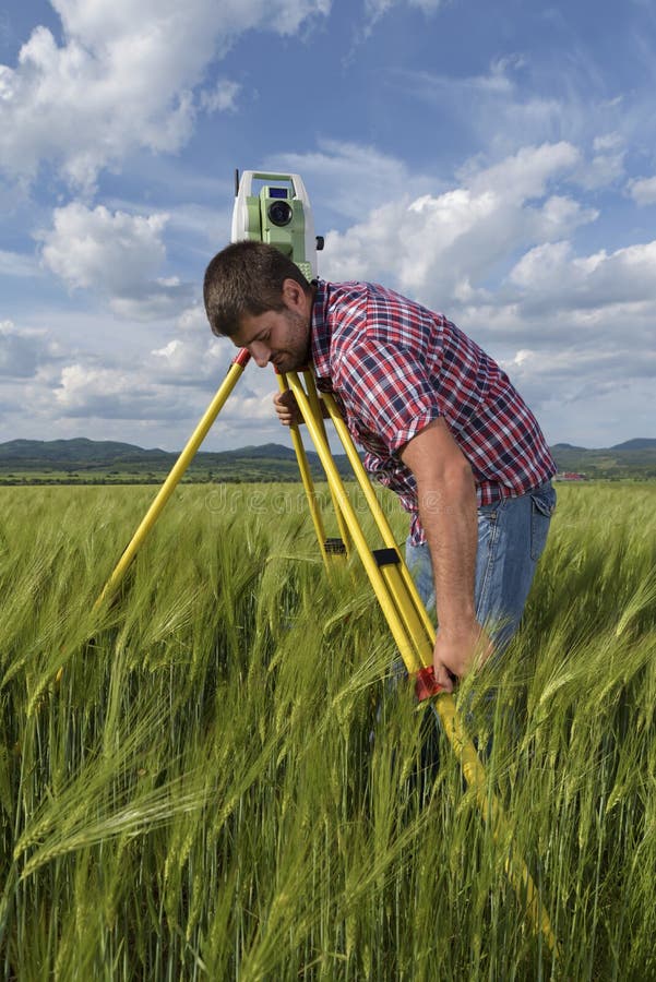 Surveyor Rapeseed Geodesy Engineer Stock Photo Image of engineer