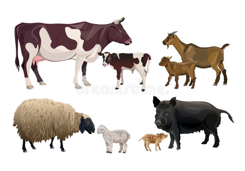 Landbouwbedrijfdieren en hun jonge geitjes royalty-vrije illustratie Landbouwbedrijfdieren en hun jonge geitjes royalty-vrije illustratie