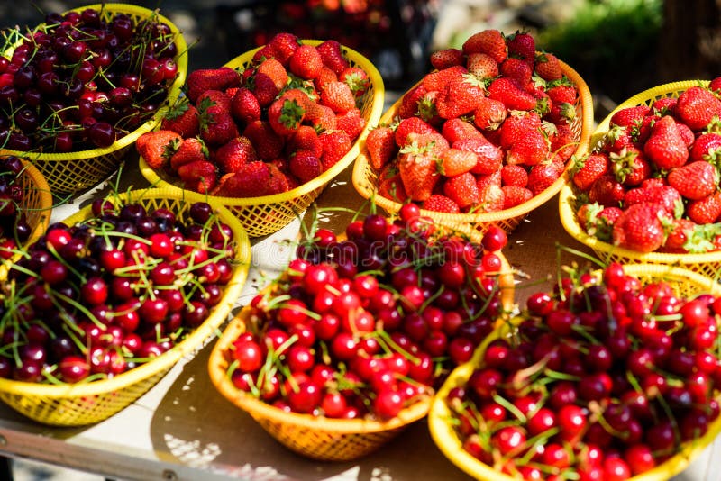 Landbouwbedrijfmarkt De Rode rijpe bessen van de de zomeroogst Sappige bessen van tuin Koop verse vruchten Organische Bessen Gezo stock foto Landbouwbedrijfmarkt De Rode rijpe bessen van de de zomeroogst Sappige bessen van tuin Koop verse vruchten Organische Bessen Gezo stock foto