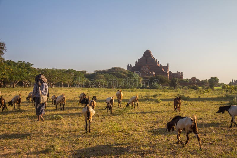 Ancient temples of Bagan Burma. Ancient temples of Bagan Burma