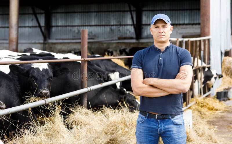Landbouwer bij landbouwbedrijf met melkkoeien royalty-vrije stock afbeeldingen Landbouwer bij landbouwbedrijf met melkkoeien royalty-vrije stock afbeeldingen