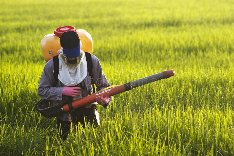 Boer op een rijstveld royalty-vrije stock foto
