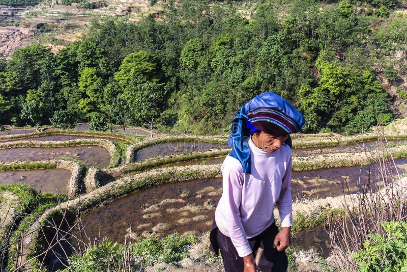 Landbouwer die bij zijn padieveldgebied op Yunayang-rijstterrassen aanwezig zijn royalty-vrije stock foto Landbouwer die bij zijn padieveldgebied op Yunayang-rijstterrassen aanwezig zijn royalty-vrije stock foto