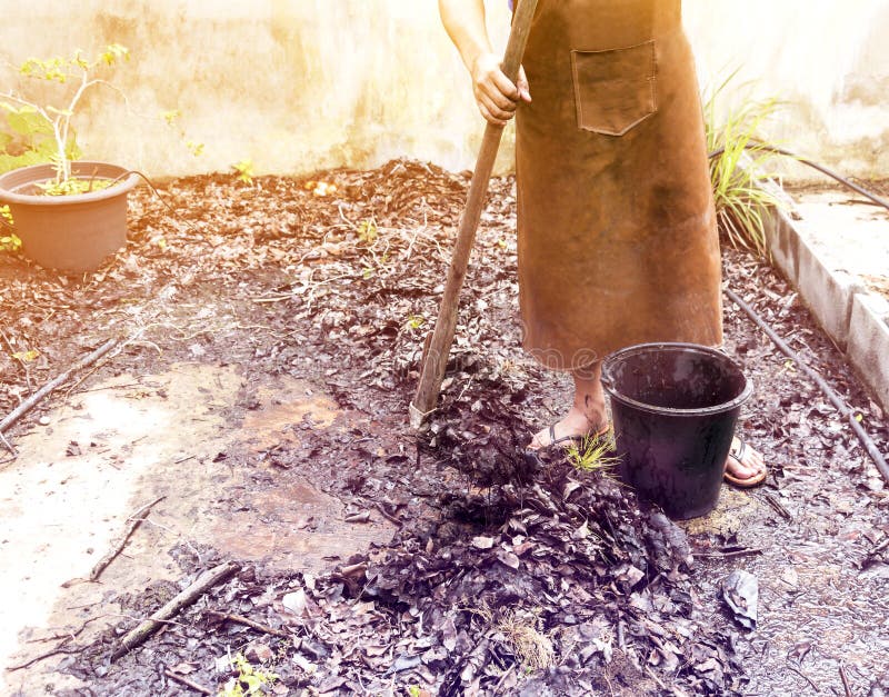 Landbouwer die in de tuininstallaties werken met het schoffelen graven stock fotografie Landbouwer die in de tuininstallaties werken met het schoffelen graven stock fotografie