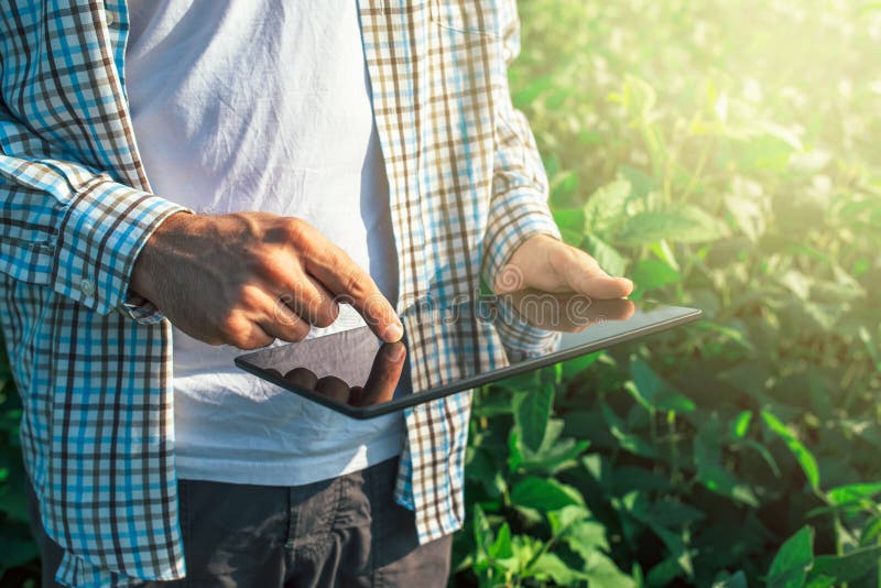 Landbouwer die digitale tabletcomputer in gecultiveerde sojaboongewassen met behulp van