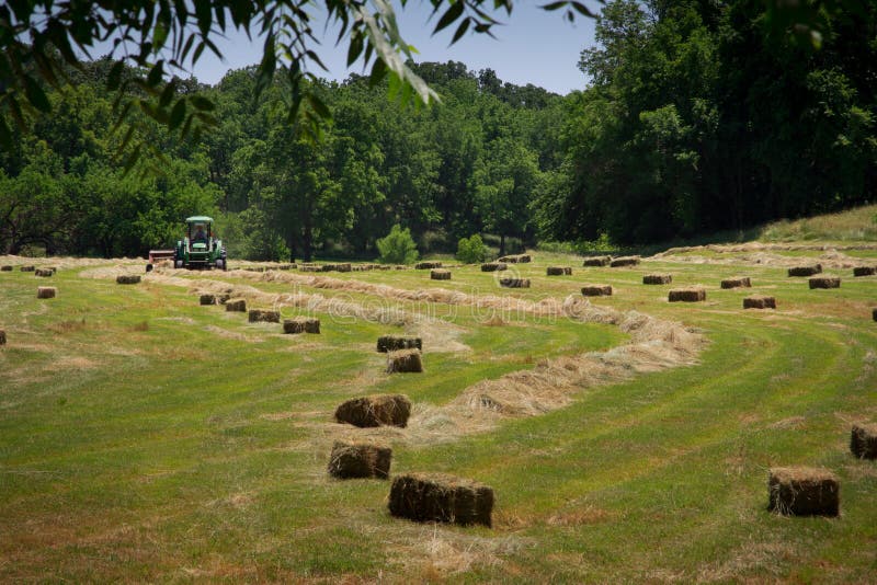 Oude Landbouwer Stands Door Tractor Stock Afbeelding - Image of cowboy