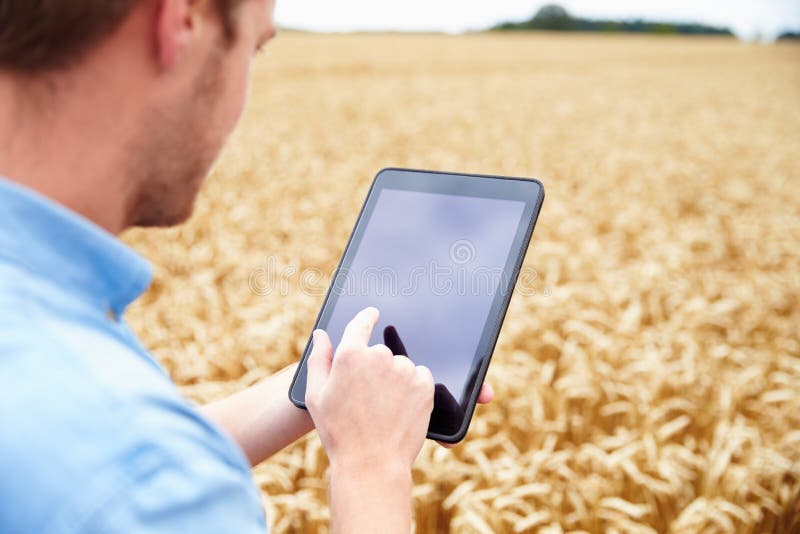 Landbouwer Using Digital Tablet op Gebied van Tarwe